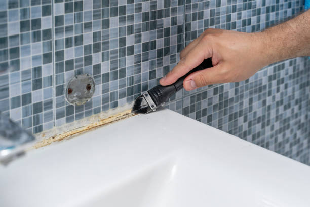 Best Home Mold Removal  in Elizabeth, NJ