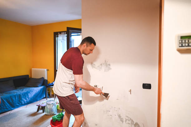 Best Toxic Mold Removal  in Elizabeth, NJ